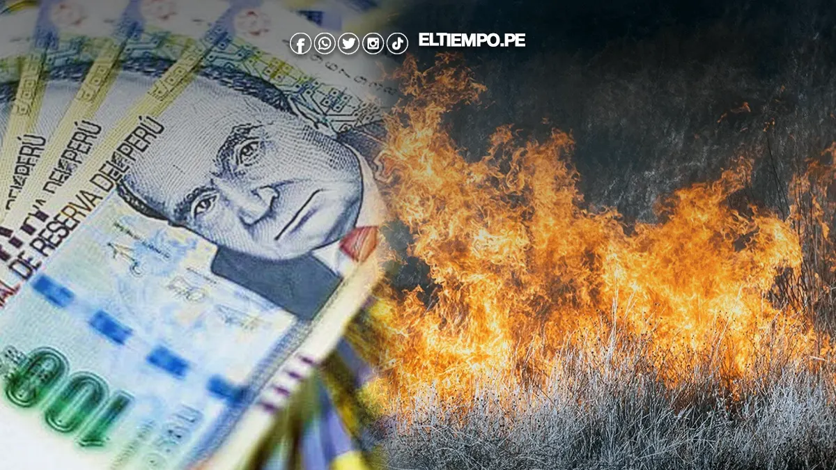 bono incendio bono incendio