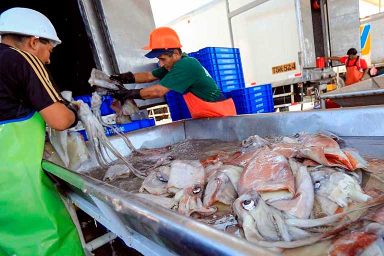 Piura,paro de pescadores