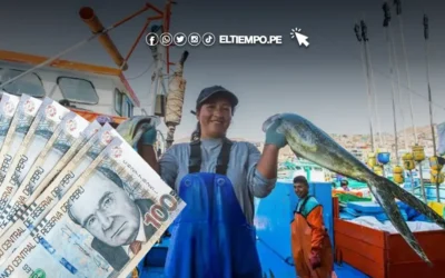 Bono Pescador Artesanal 2024: ¿PODRÉ postular desde tu DNI?