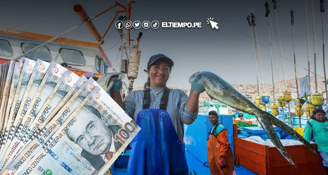 Bono Pescador Artesanal 2024 PODRÉ postular desde tu DNI Bono Pescador Artesanal 2024: ¿PODRÉ postular desde tu DNI?