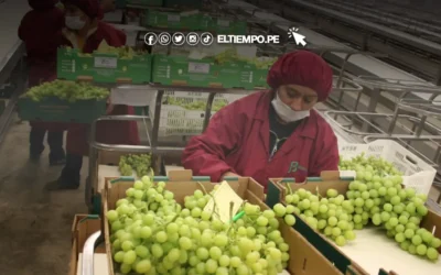 Ministerio de Trabajo prevé generar 80,000 empleos formales como mínimo en 2026