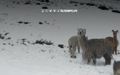 ¡Friaje extremo en Perú! Temperatura podría descender a 20 grados bajo cero en Chuapalca, Vilochilo Grande, Vilochilo Chico y Palca