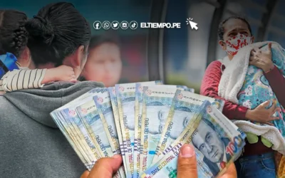 Bono Madre Soltera noviembre 2025: no hay LINK de consulta con DNI