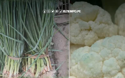 Perú: Pesticidas en verduras sobrepasan límites máximos hasta en 10.900%