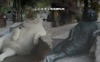 ¿Quién fue Tombili, el gatito callejero que fue inmortalizado con una escultura?