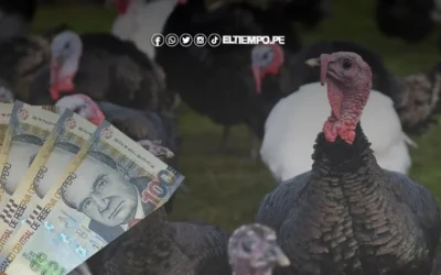 PIDE UN PRÉSTAMO BCP PARA COMPRAR UN PAVO DE 350 SOLES A MÁS EN ESTA NAVIDAD