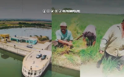 Piura: PECHP pide a agricultores a cumplir con las fechas límite de siembra