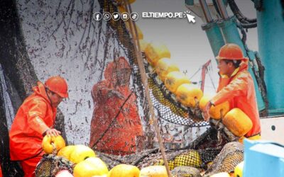 Perú autoriza inicio de primera temporada de pesca de anchoveta para zona Norte-Centro