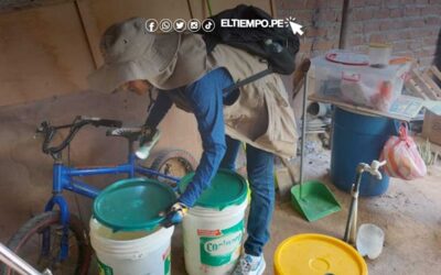 Dengue en Piura: más de 700 mil viviendas serán intervenidas para evitar proliferación del aedes aegypti