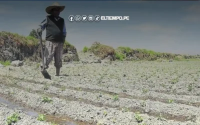 Incremento del 5% en la tarifa de agua para agricultores desata indignación en el Valle de San Lorenzo