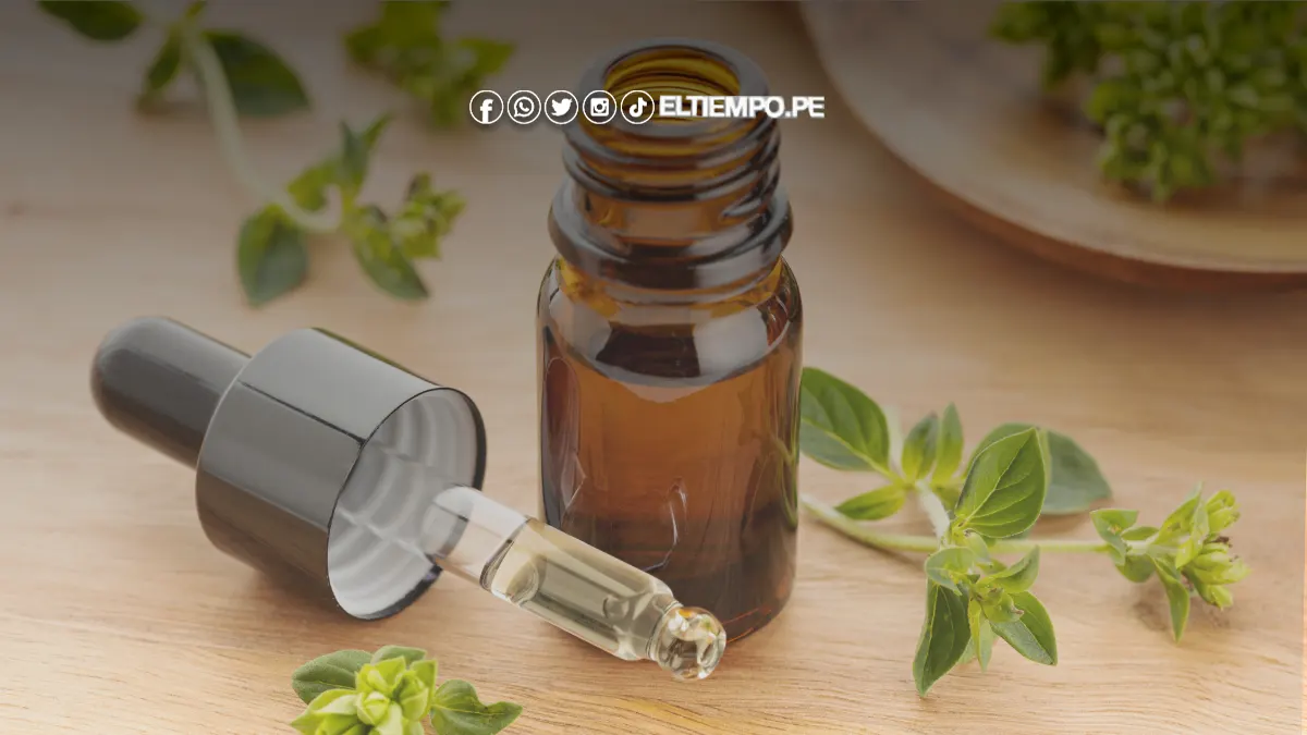 beneficios del aceite de oregano et beneficios del aceite de oregano