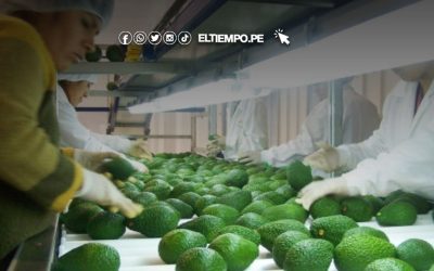 Palta, espárragos, quinua y granada: productos de estación disponibles en mayo