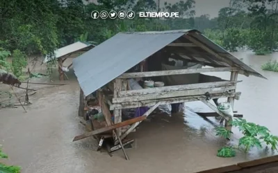 Emergencia en Bolivia: Lluvias dejan más de 50 muertos y declaran al país en «emergencia nacional»