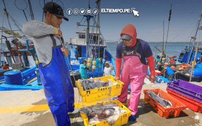 Produce aprobó Reglamento de Ordenamiento Pesquero de la pota