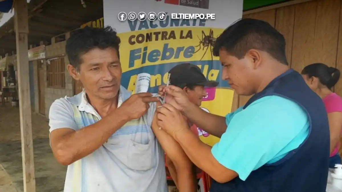vacunación contra la fiebre amarilla vacunación contra la fiebre amarilla