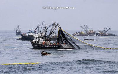 Piura: Anchoveteros exigen a las fábricas precios justos
