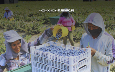 Perú: Exportaciones regionales sumaron US$ 10,298 millones
