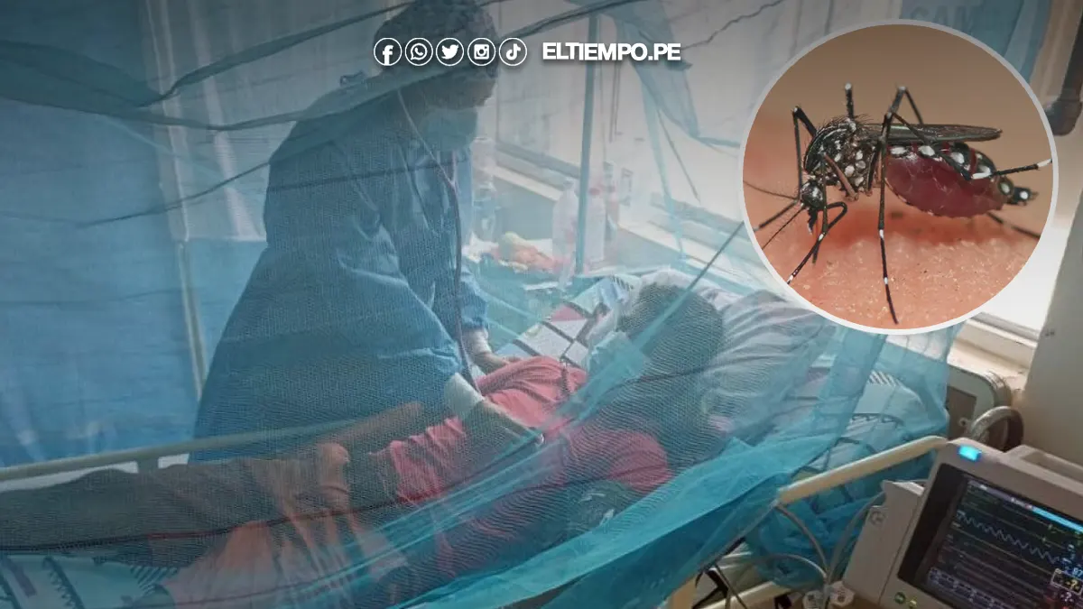 dengue en Piura dengue en Piura