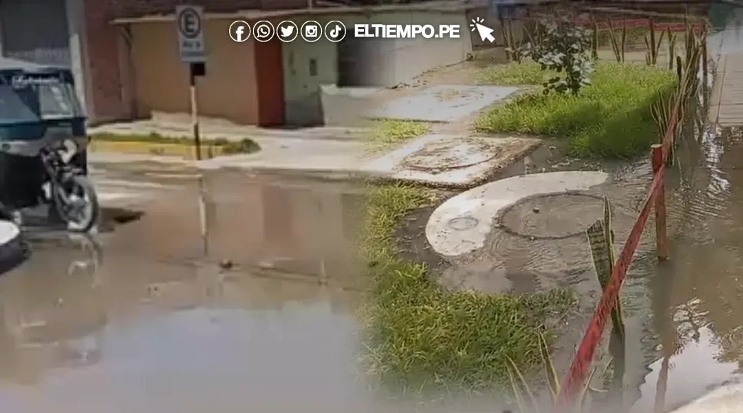 Suben a siete las muertes por leptospirosis: reportan más de 670 casos
