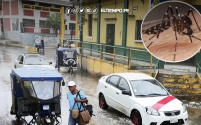 Casos de dengue aumentarán por la continuidad de las lluvias en Piura