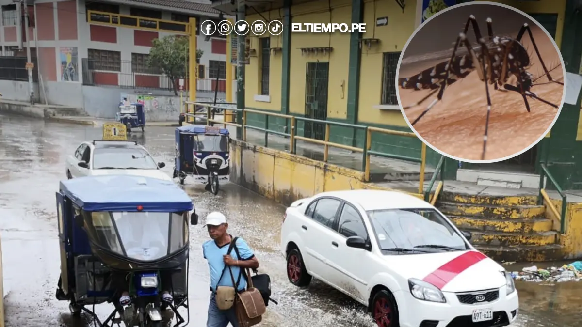 lluvias y dengue lluvias y dengue