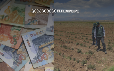 Piura: Pedirán ampliación de beneficiarios del bono agrario por crisis hídrica