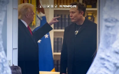 Elon Musk anuncia su salida del gobierno de Donald Trump