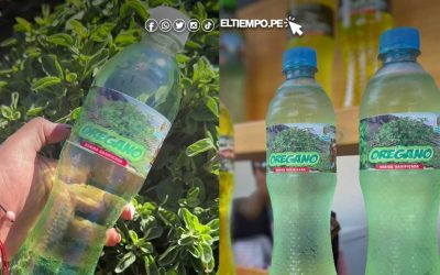 ¿Gaseosa de orégano? existe y la producen en Tacna: «el oro verde del Perú»
