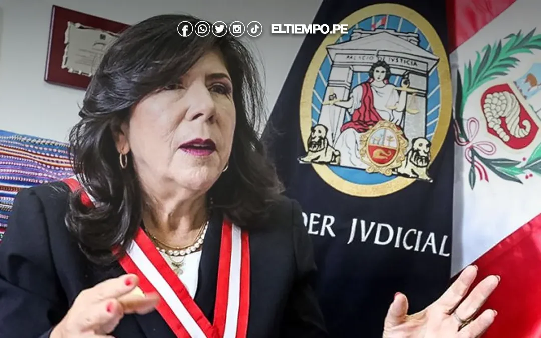 Janet Tello sobre ley de amnistía para policías y militares: “No se ajusta a la Constitución ni a tratados internacionales”