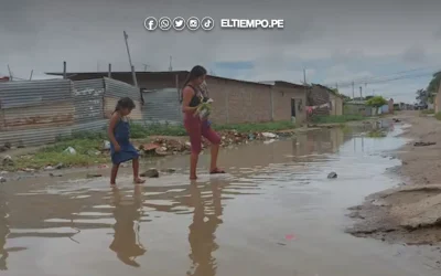 Siguen muertes por bacteria de leptospirosis en Piura: Se necesita mejorar diagnóstico