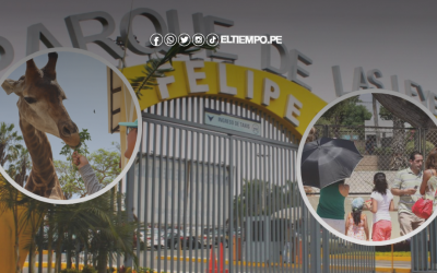 Parque de las Leyendas: ¿quiénes entran gratis durante todo el 2025?