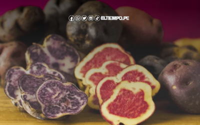 Perú celebra el Día Nacional de la Papa con récord en exportación de chuño y snacks