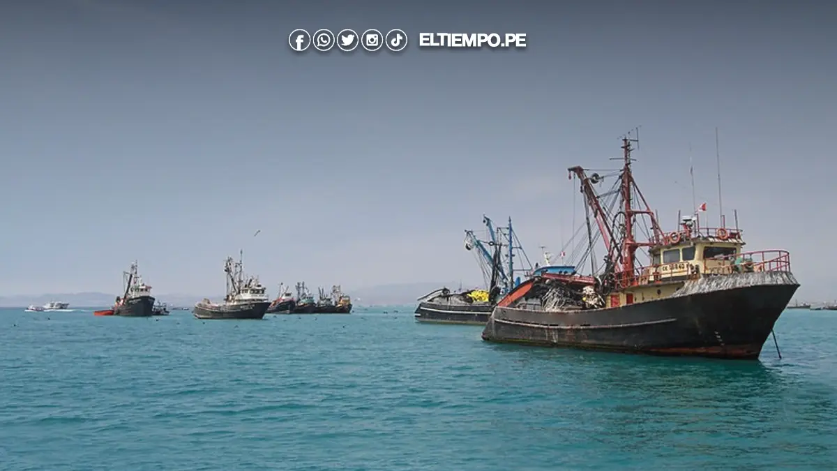 Sector pesquero en el Perú Sector pesquero en el Perú