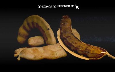 El tamarindo: un alimento para la digestión y la salud metabólica