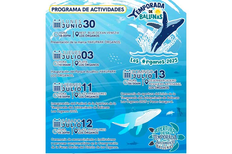 avistamiento de ballenas 2025,piura,avistamiento de ballenas en piura
