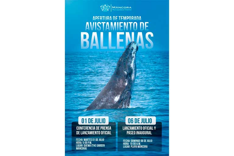 avistamiento de ballenas 2025,piura,avistamiento de ballenas en piura