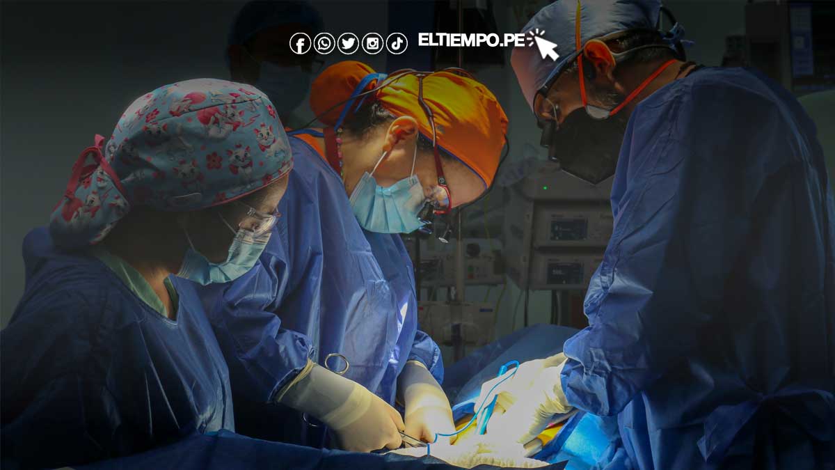 centro-de-trasplante-de-organos