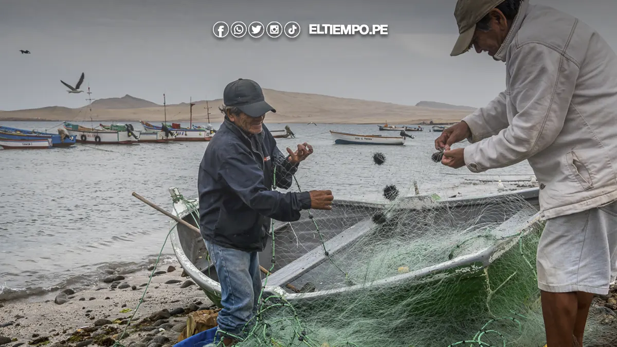 día del pescador día del pescador
