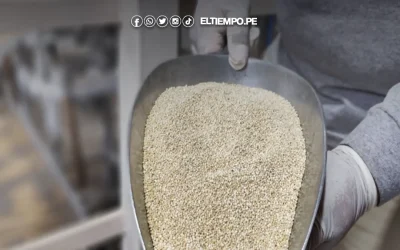 Exportación peruana de granos andinos creció 16.8%