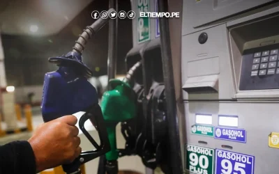 Bono combustible 2025: ¿Existe LINK de consulta con DNI?