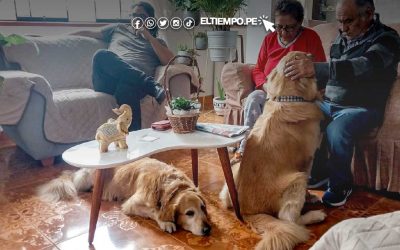 INEI incluirá la tenencia de mascotas en hogares en sus mediciones a partir de julio