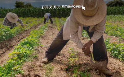 Ejecutivo a favor de promulgar la Ley agraria, si se aprueba en el Congreso