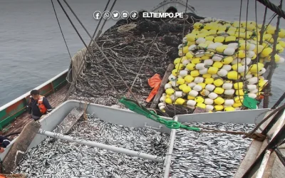 Disponen nueva suspensión temporal de la pesca de anchoveta por 15 días adicionales