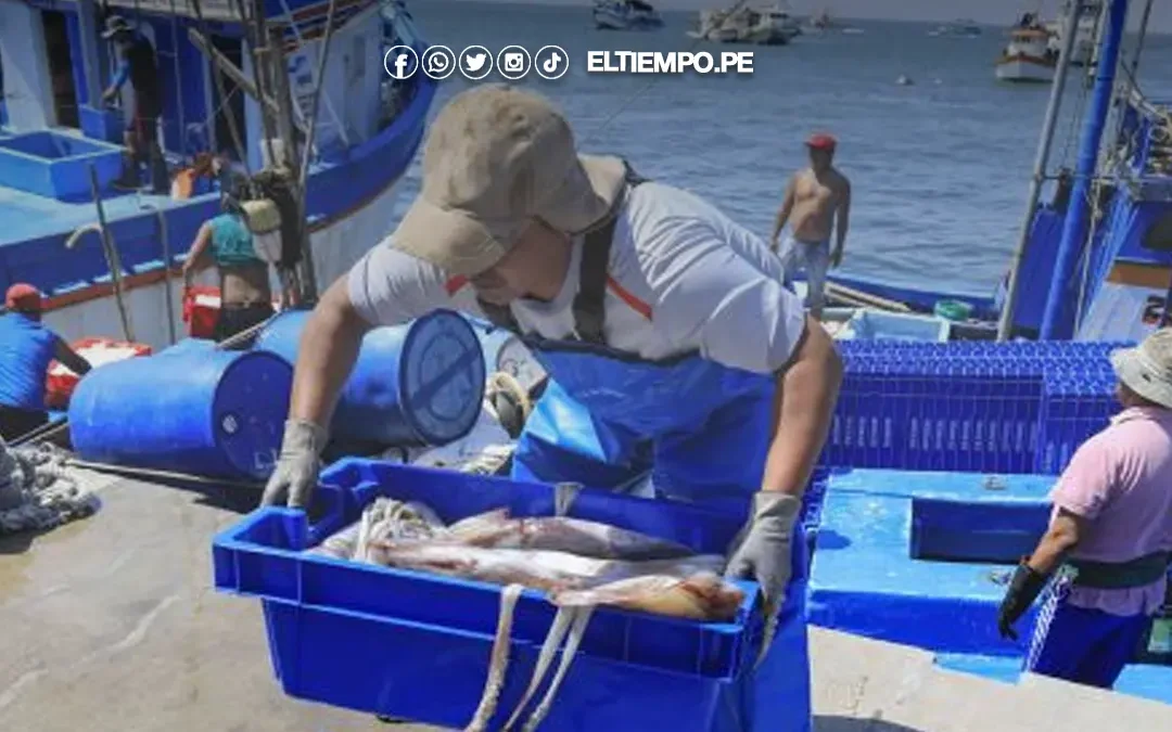 Piura: Sector pesca enfrenta riesgos climáticos y mayores costos ante aumento del precio del petróleo