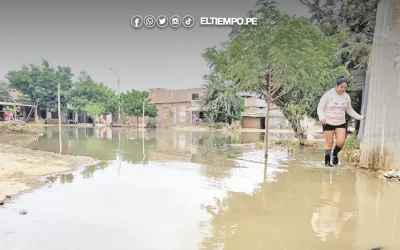 Piura: Leptospirosis suma 250 casos y continúan colapsos de desagüe