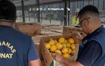 Las Lomas: Incautan 200 cajas de pitahaya