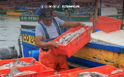 Pescadores de Sechura exigen explicaciones al Estado por veda de pota