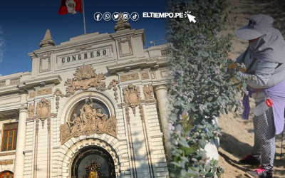 Congreso del Perú aprueba nueva ley agraria que fortalece las exportaciones peruanas