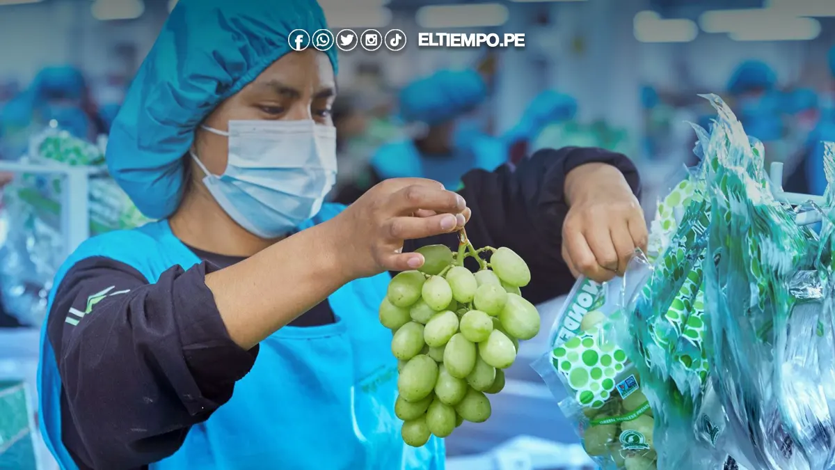 Exportaciones no tradicionales de Perú a México crecieron 25% Exportaciones no tradicionales de Perú a México crecieron 25%