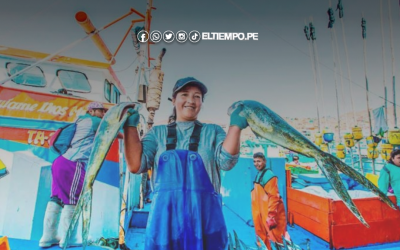 Perú certifica más de 1 millón de toneladas de productos hidrobiológicos con sello de calidad en 2025